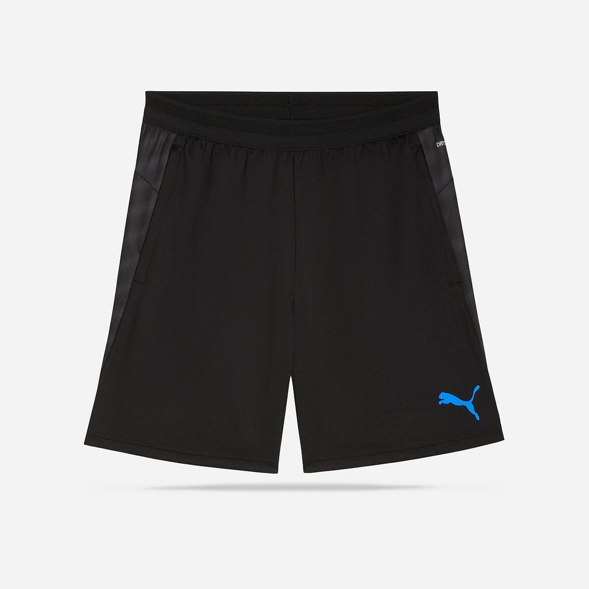 Puma Individualcup Training Shorts Heren
