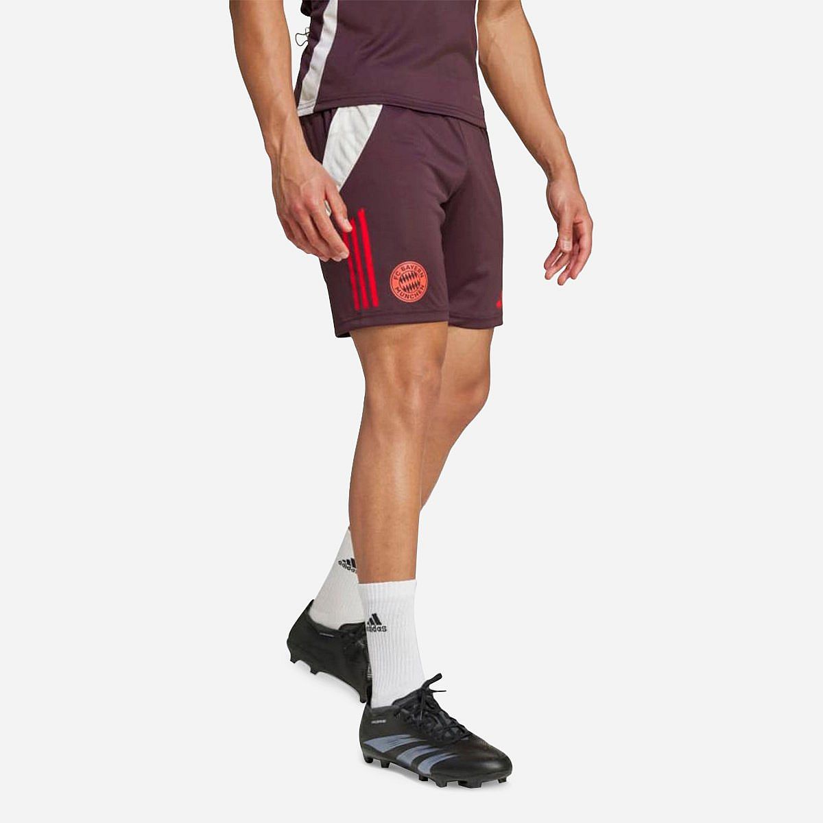 Adidas FC Bayern München Trainingsshort 2024/2025 Senior Adidas FC Bayern München Trainingsshort 2024/2025 Senior