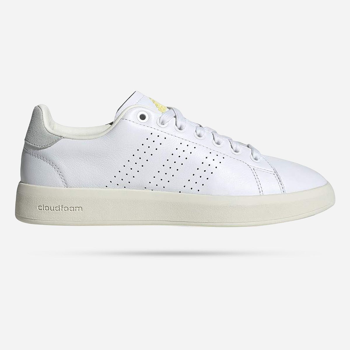 Adidas Advantage Premium Sneakers Dames