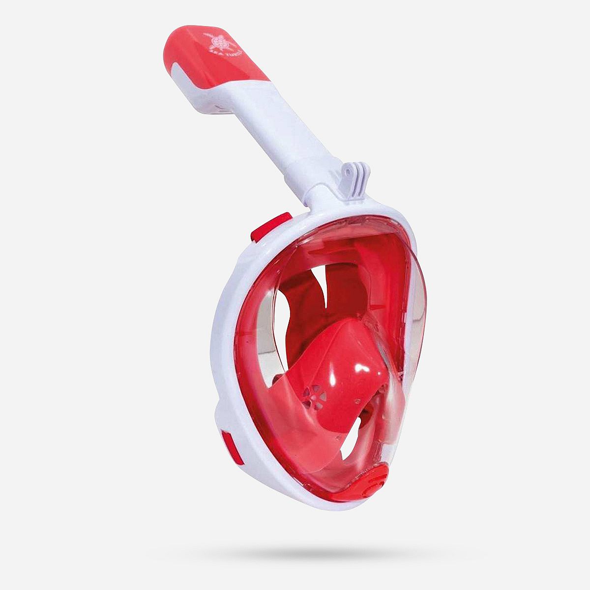 Sea Turtle Sea Turtle