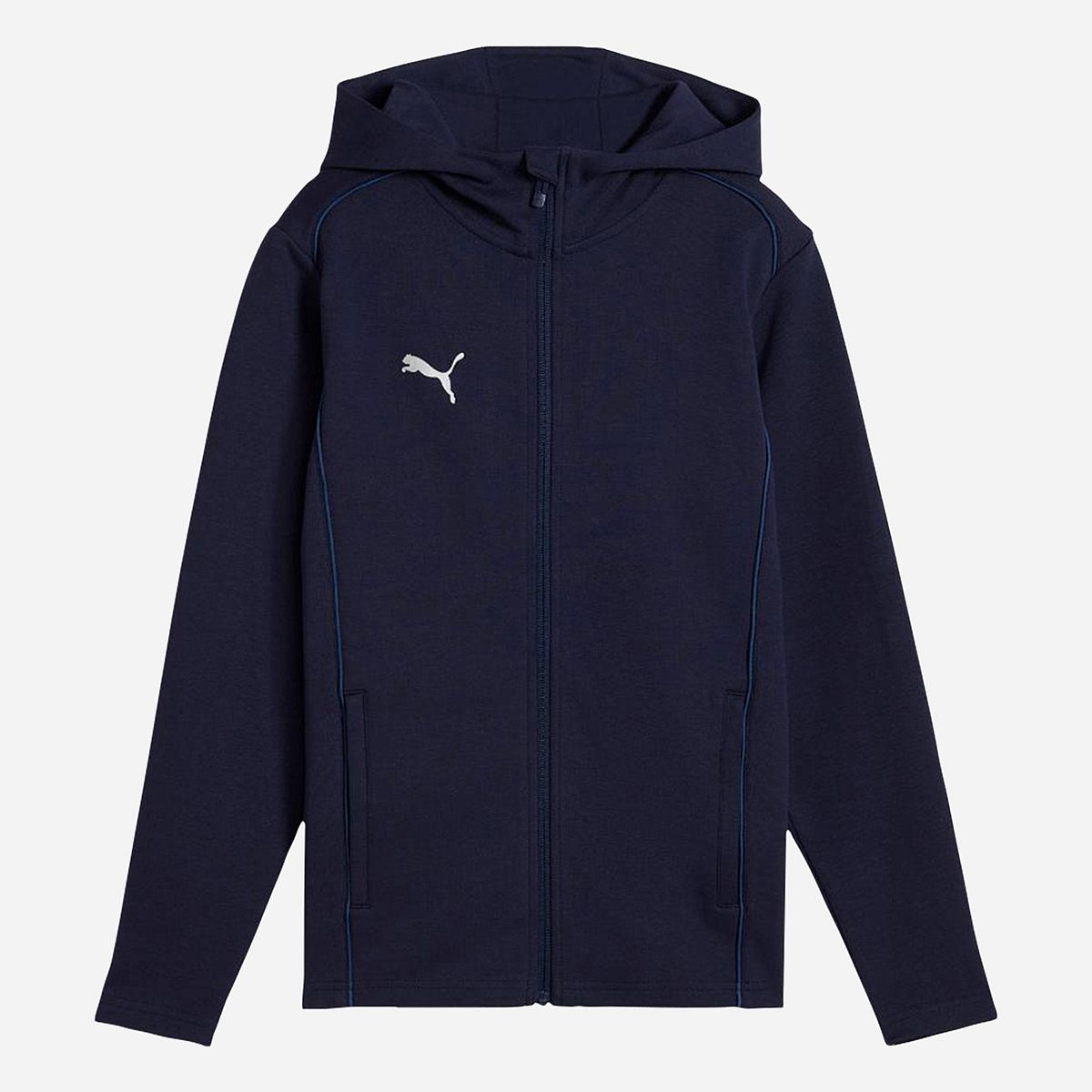 Puma Teamfinal Casuals Hoodie Junior