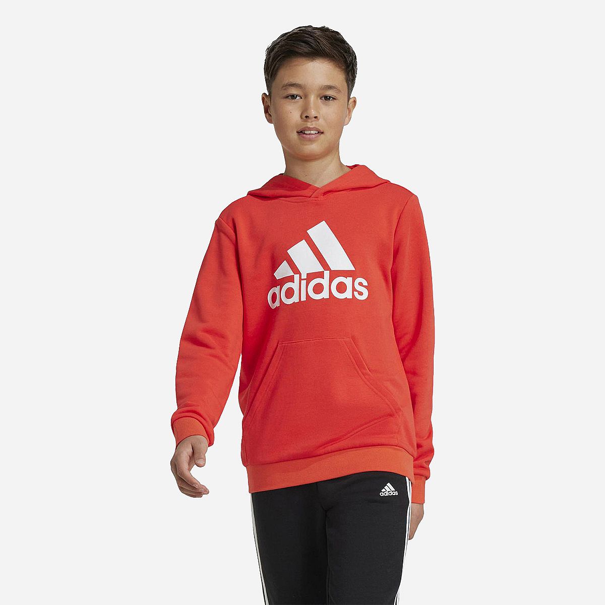 Adidas Big Logo Essentials Hoodie Jongens