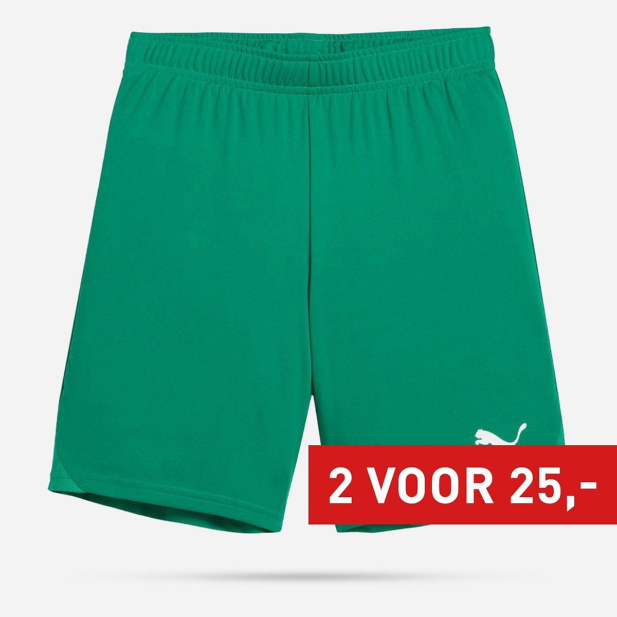 Puma Teamgoal Shorts Junior