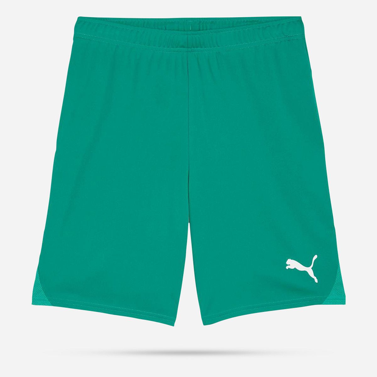 Puma Teamgoal Shorts Senior