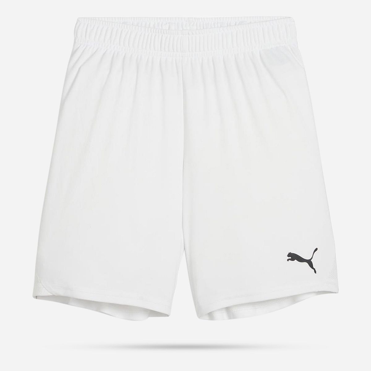 Puma Teamgoal Shorts Junior