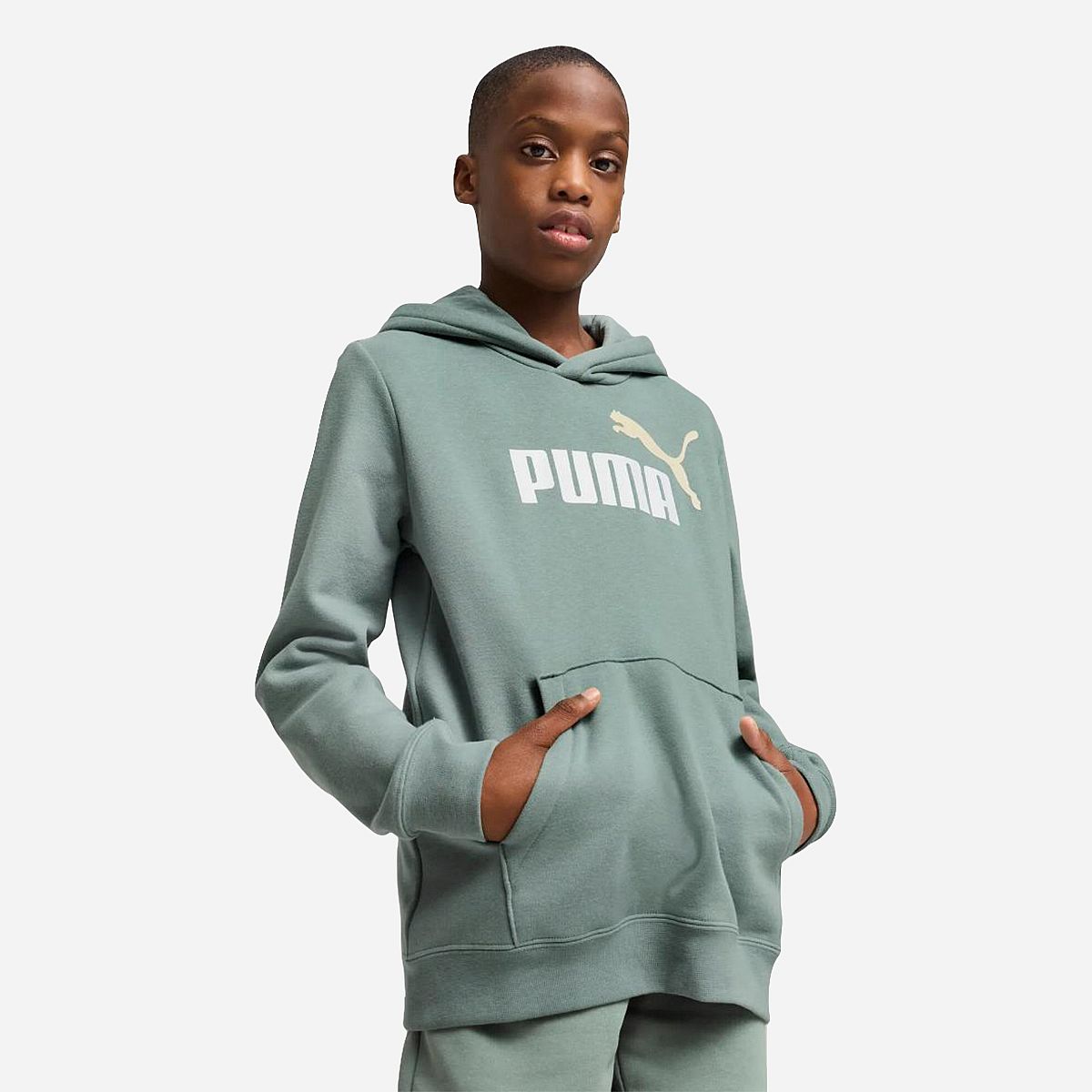 Puma Essentials Logo Hoodie Jongens