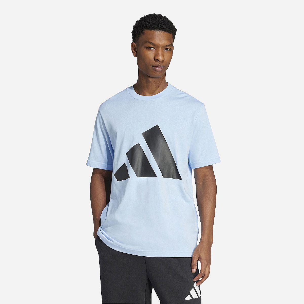 Adidas Essentials Big T-Shirt Heren