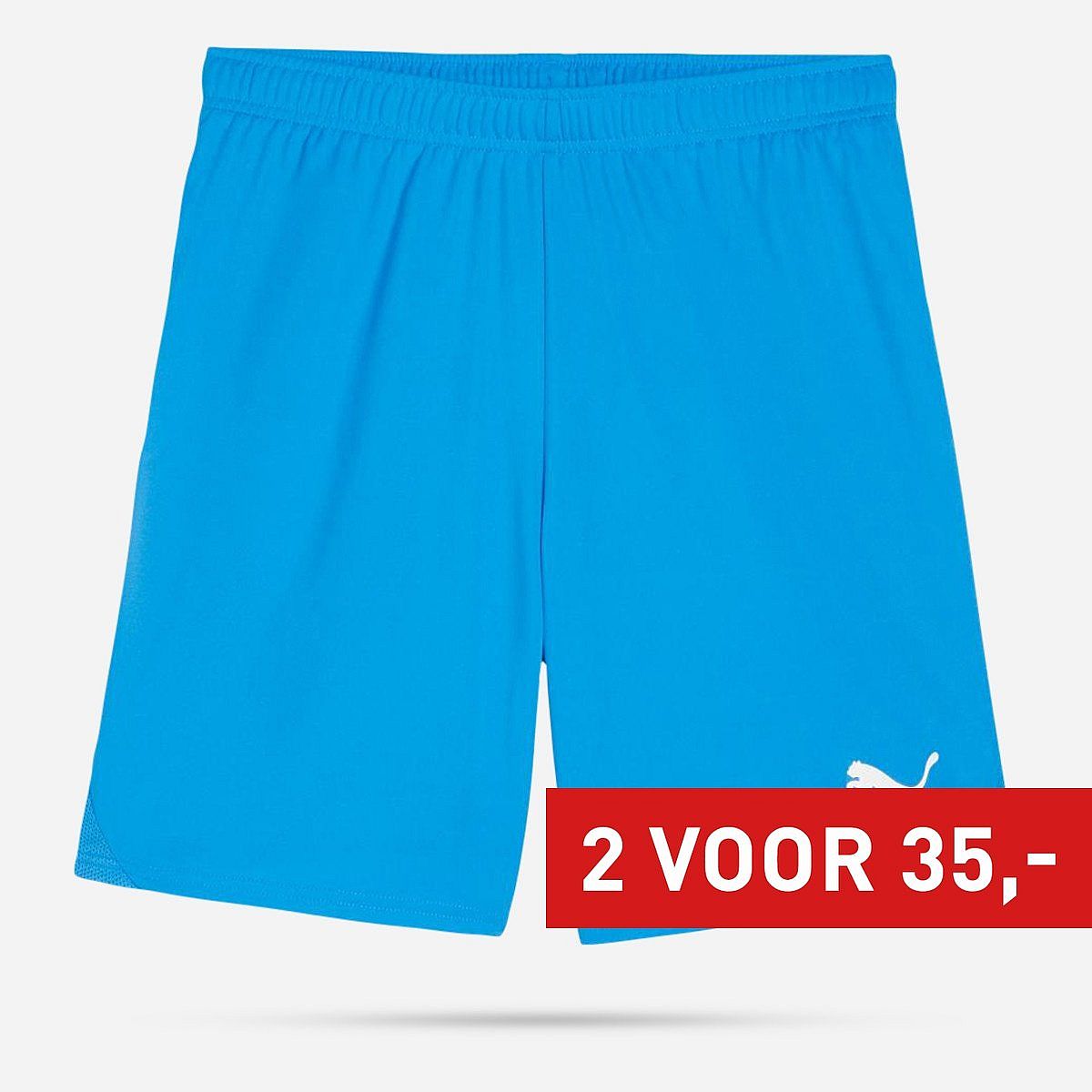 Puma Teamgoal Shorts Senior