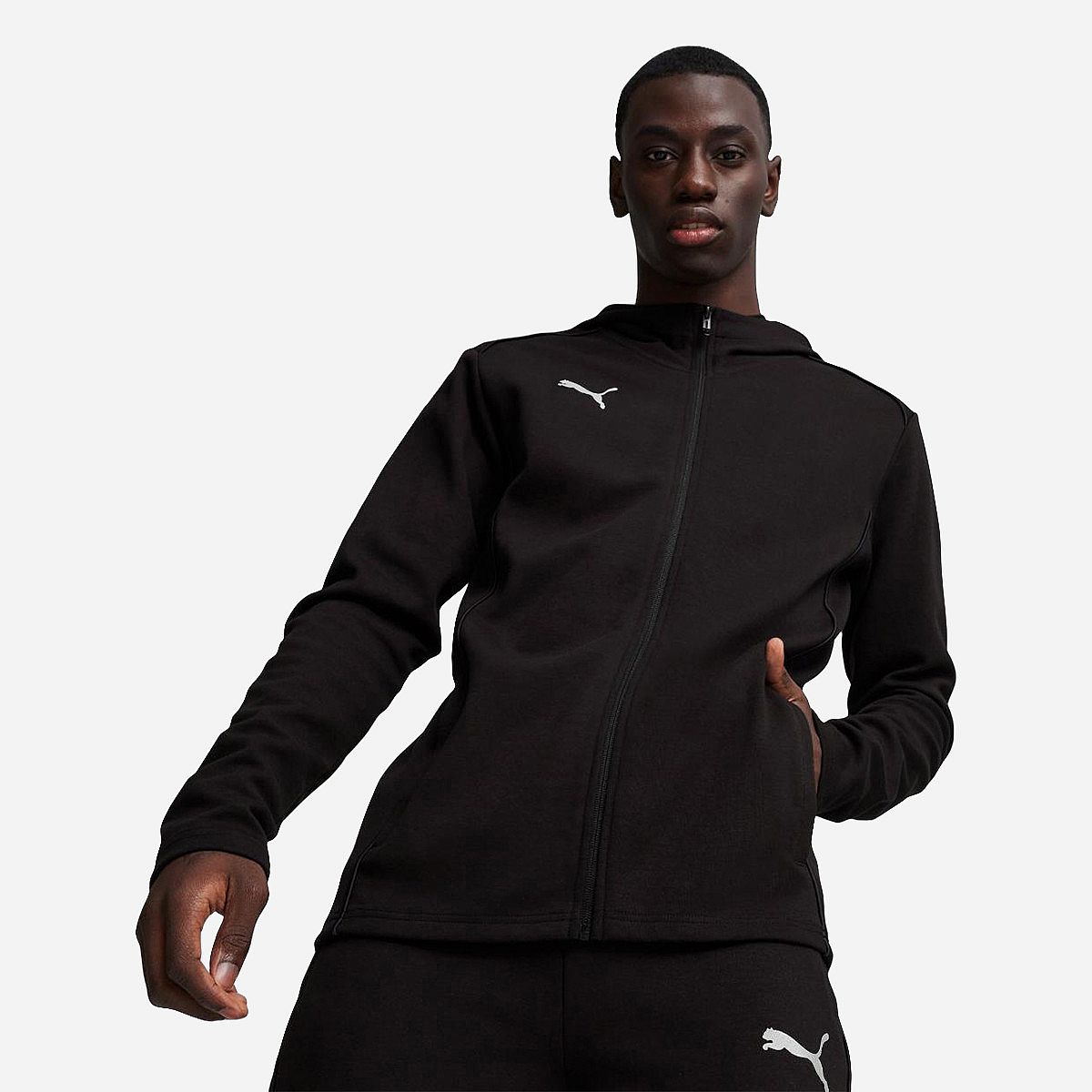 Puma Teamfinal Hoodie Heren