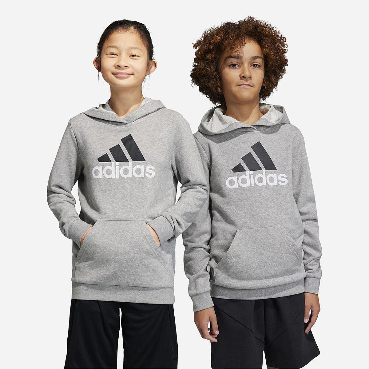 Adidas Essentials Big Logo Cotton Hoodie Jongens