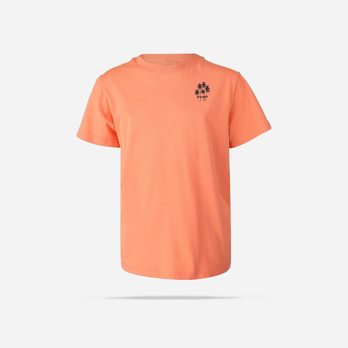 Brunotti Mikry T-Shirt Jongens Brunotti Mikry T-Shirt Jongens