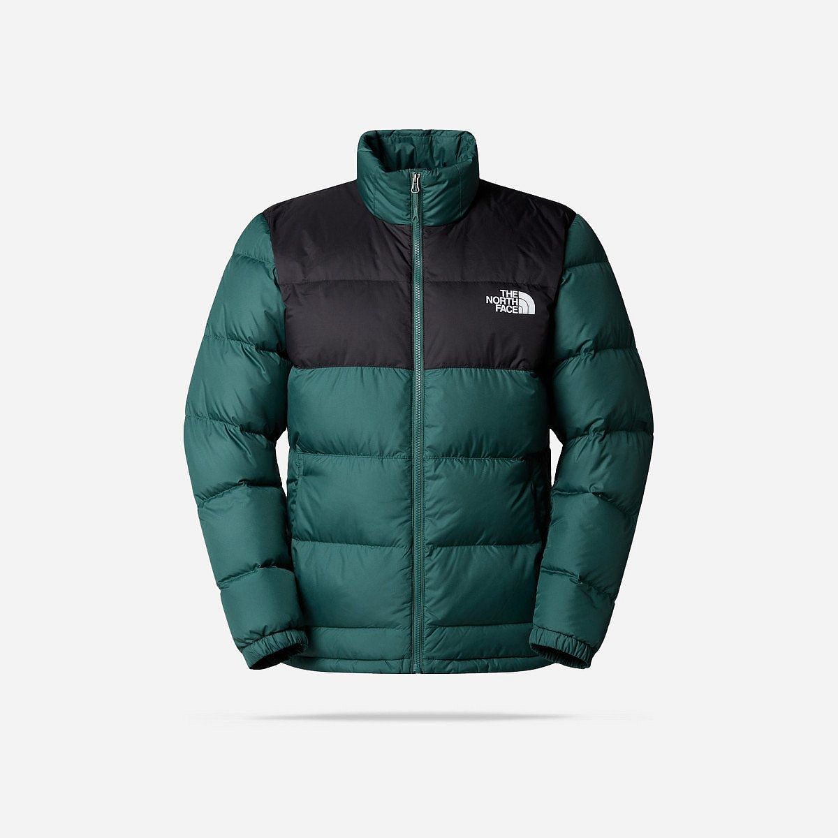 The North Face Erebus Down Pine Forest Winterjas Heren The North Face Erebus Down Pine Forest Winterjas Heren