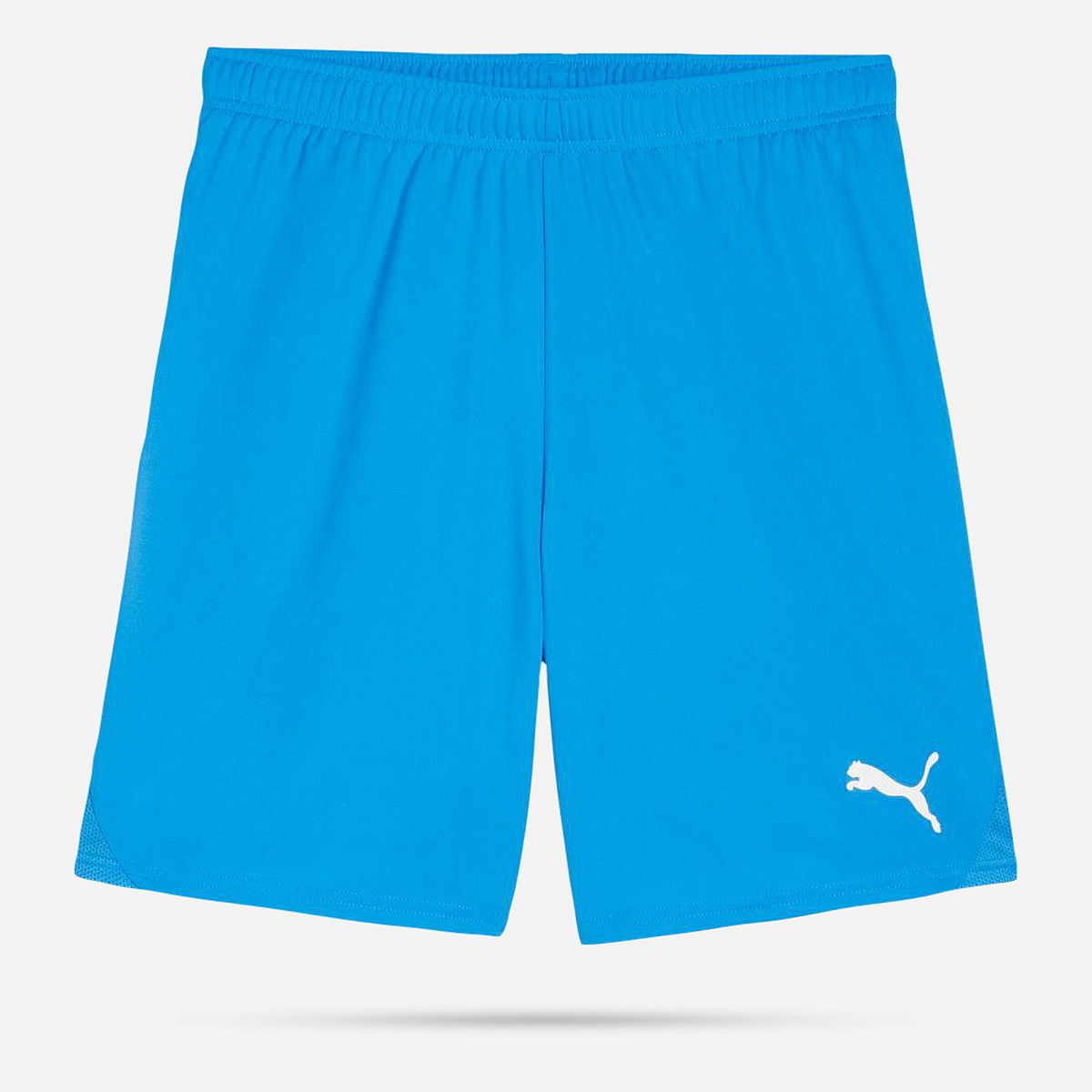 Puma Teamgoal Shorts Senior
