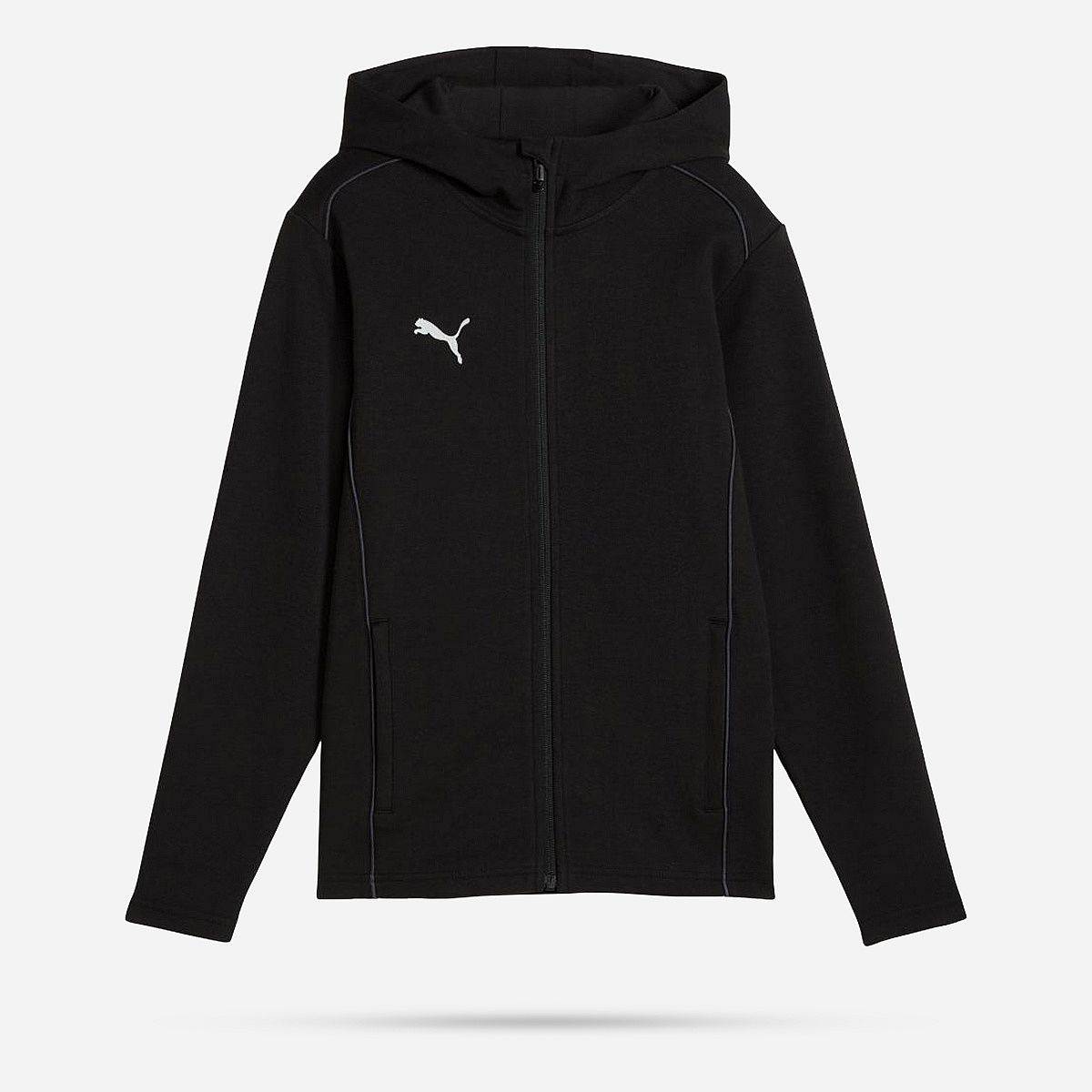 Puma Teamfinal Hoodie Junior